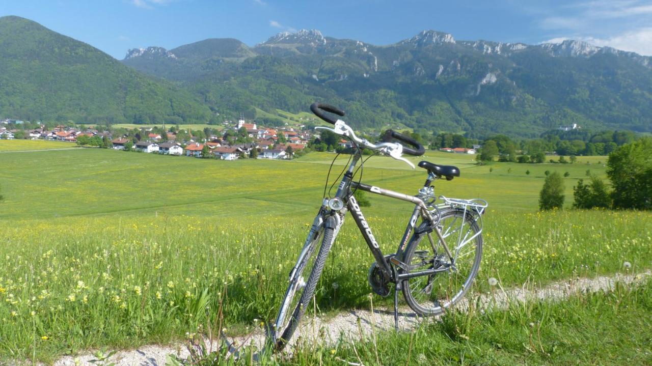 Wirtshaus Zum Baumbach Ξενοδοχείο Aschau im Chiemgau Εξωτερικό φωτογραφία